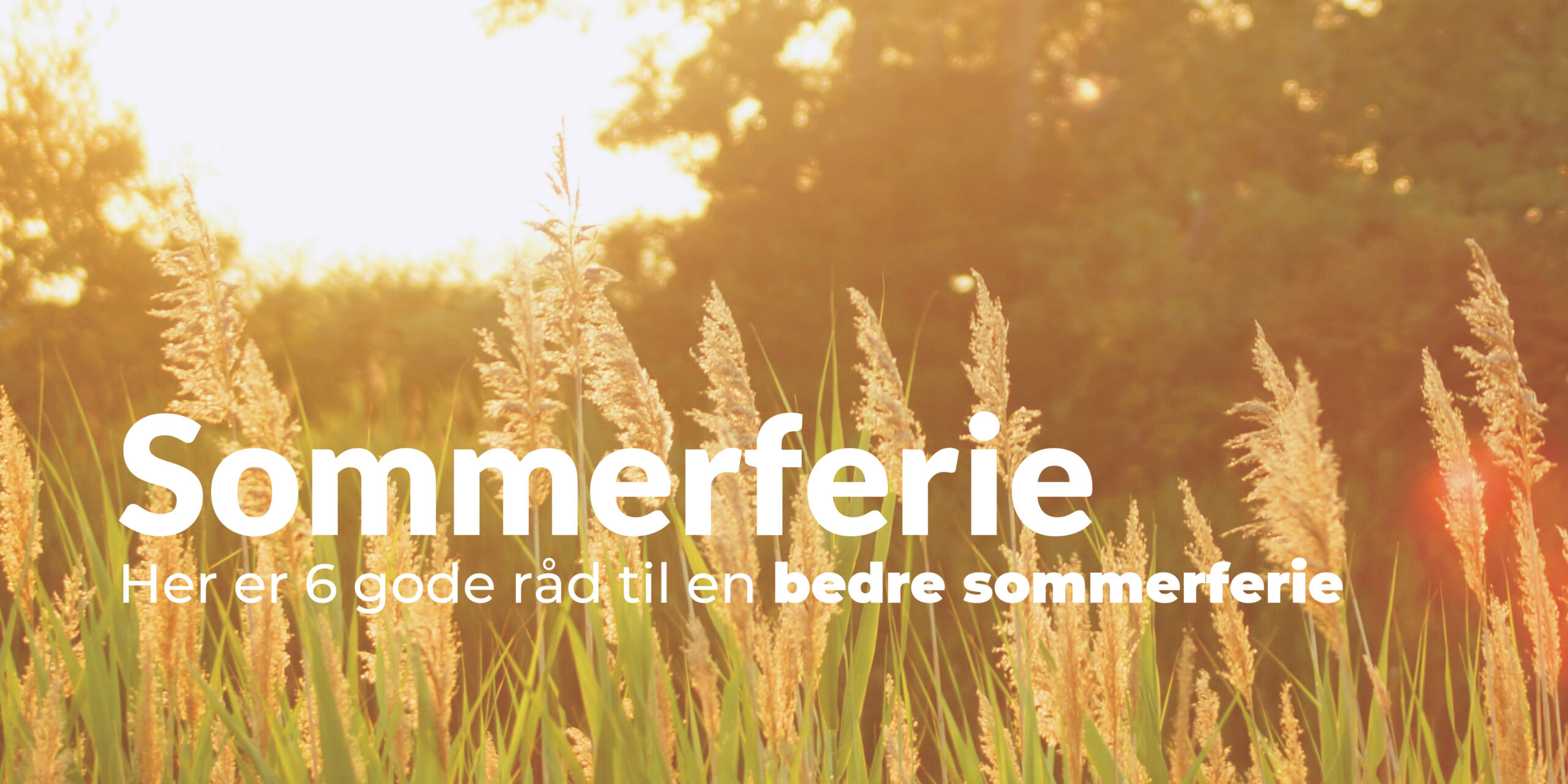 sommerferie sven-scheuermeier-cJ0Vwoq7FHI-unsplash
